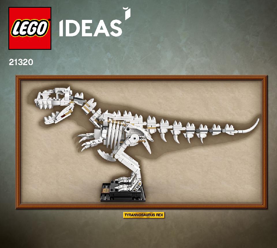 Dinosaur Fossils 21320 LEGO information LEGO instructions 1 page