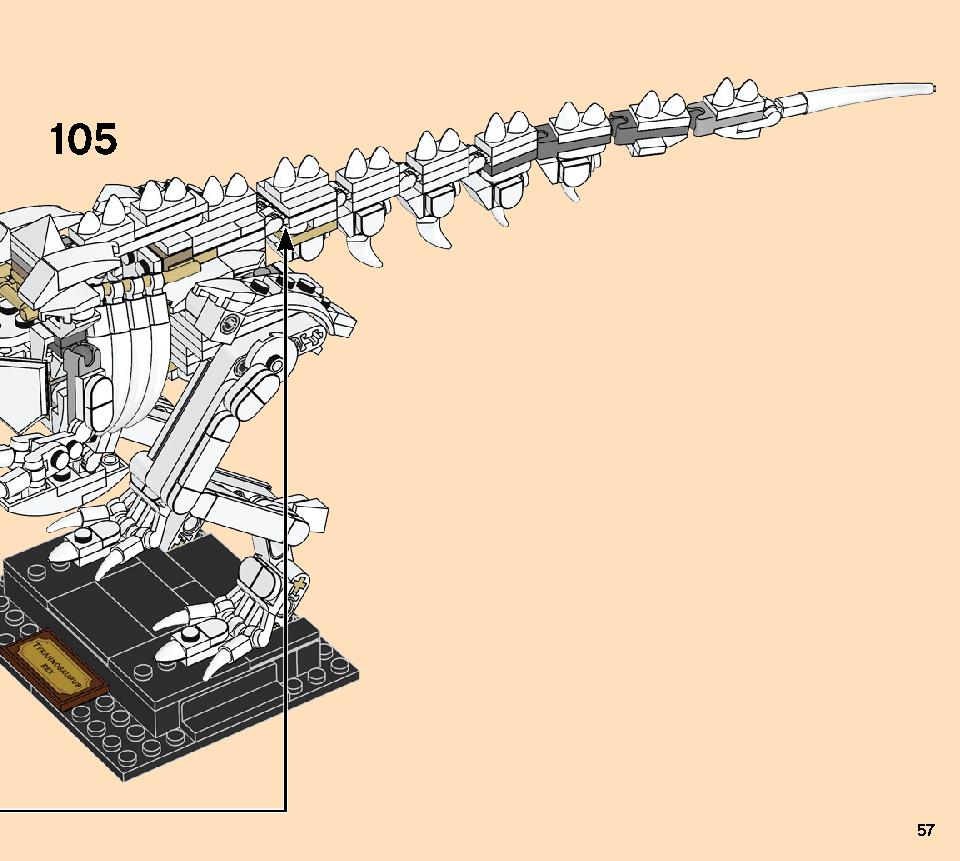Dinosaur Fossils 21320 レゴの商品情報 レゴの説明書・組立方法 57 page